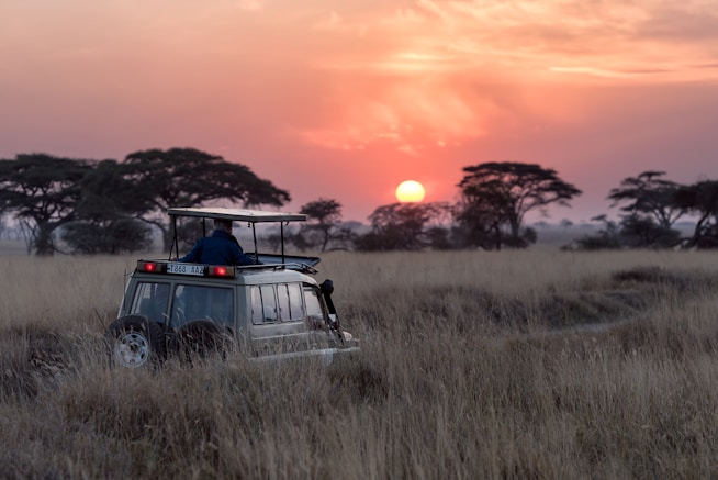 7 Days Northern Safari